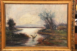 Olgyay Ferenc (?): Vadkacsa