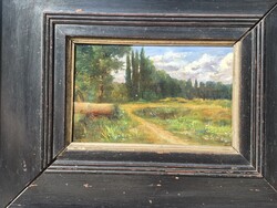 Pállya Celesztin -Forest road-
