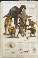 National Geographic Dinoszaurusz térkép poszter (Laurázsia és Gondvána)