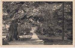 18-227 KÉPESLAP - Zirc