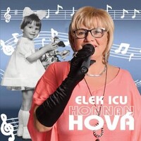 Elek Icu Honnan hová album  - pop music