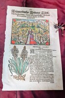 Orvostörténeti ritkaság: Adam Lonicer (cca. 1582) krauterbuch