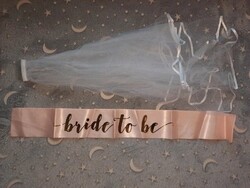 Bachelorette costume for bride