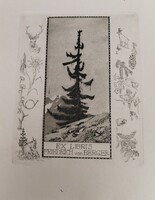 Adolf Kunst Ex libris  kisgrafika  18x22 cm a lap mérete