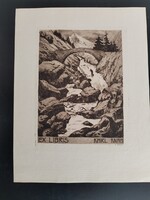 Adolf Kunst Ex libris  kisgrafika  16x22 cm a lap mérete