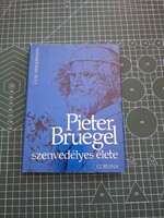 Pieter Bruegel szenvedélyes élete - 2094
