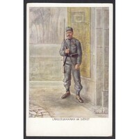 Ausztria,Népfölkelő szolgálatban 1917