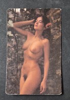 Női akt erotikus kártyanaptár 1987