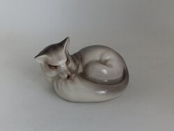 Porcelán sarki róka!