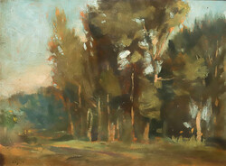 BASCH ANDOR (1885-1944): ERDŐSZÉLE
