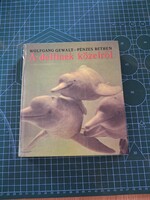 A delfinek közelről- 2231