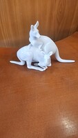 Herendi kenguru pár ritka figura