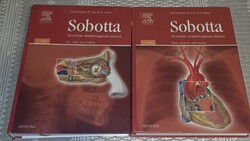 Sobotta - Az ember anatómiájának atlasza I-II.