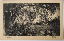 Képeslap, Szentes 1959, látkép (P10)