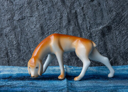 Hollóházi Vizsla Dog