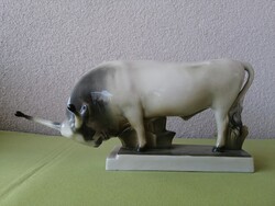 Zsolnay szürkemarha, bika