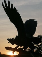 Turul:  Hazánk Őrzője