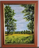Czinóber - Aranyló mezőn ( 30 x 40, olaj, gyönyörű keretben )