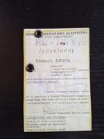 D210307  Nemzeti Úszósport Alapítvány  Szent margitsziget - Tihanyi István   1934