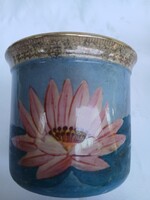 Ancient, water lily, Hévíz Memorial inscribed mug