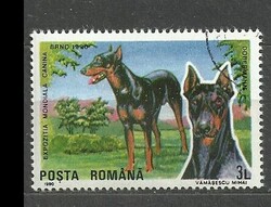 Románia 3 L
