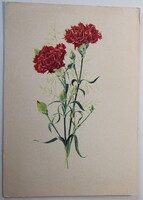 Képeslap, Virág,  Grafika: Gonda-Rozs1978 (K4)