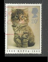 Angol 20 p