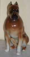 RITKA ROYAL DUX  PORCELÁN  BOXER KUTYA.