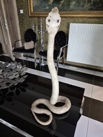 Preparált kitömöt exotikus kígyó. 57cm !