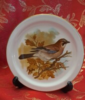Szajkó madaras porcelán tányér, kis dísztányér (L6427)