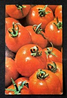 Vetőmag bolt paradicsom kártyanaptár 1981