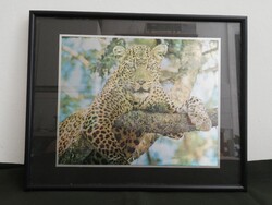 Retró fémfólia falikép – Gepárd (35x28 cm, Vintage)