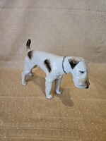 Herendi Foxi dog, Fox Terrier, Large size!
