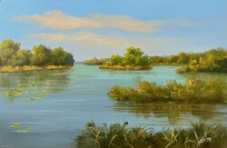 FÉLÁRON Lantos György Kisbalaton 20x30