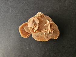 Egyedi formájú, természetes sivatagi rózsa ásványcsoport (10,3 cm, 113 g) – Gyűjtői darab