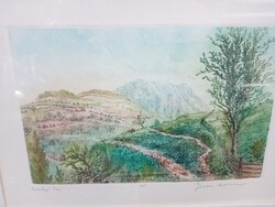 Gross Arnold color copperplate: Transylvanian landscape