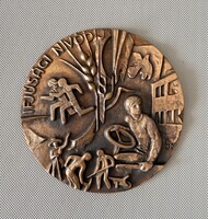 Lajos József: Ifjúsági Nívódíj bronz plakett eredeti dobozában (10 cm, 202 g)