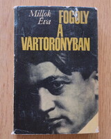 Fogoly a vártoronyban: Ady Endre életregénye (Millok Éva)