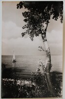 Képeslap, Balaton,Üdvözlő, vitorlás (K101)