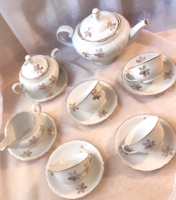 Antik MZ Moritz Zdekauer porcelán teáskészlet – Stará Role, Csehszlovákia