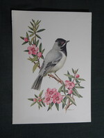 Képeslap,Anne-Marie Trechslin grafika,ornitológia,kucsmás poszáta madár,1960-