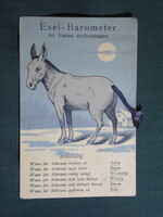 Képeslap,grafikai,humor,vicc,időjárás-jelentő tábla,Szamár-barométer,Esel-Barometer, 1910-