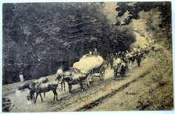 Menetoszlop, lovak - antik képeslap -  I vh KuK Hadikórházból 33as Aradi gy.ezred századosnak 1914