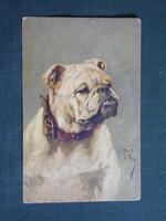 Képeslap,Arthur Wardle grafikai,művészet,buldog kutya,1930-