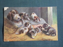 Képeslap,grafikai,művészet,cseh vizsla vadászkutya kölykeivel,1920-