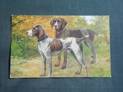 Postcard, graphic, art, hunting, vizsla hunting dog, 1910-