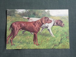 Postcard, graphic, art, hunting, vizsla hunting dog, 1910-