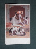 Képeslap,grafikai,művészet,terrier kutya kölykeivel,1910-