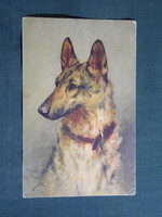 Képeslap,Arthur Wardle grafikai,művészet,németjuhász kutya,1927-
