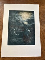 Sándor Badacsonyi: Moonlight Sonata – Color Copperplate (Collector's, Flawless! 21/100)